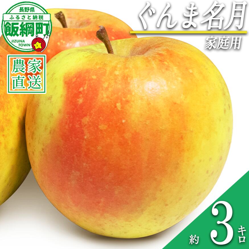 【ふるさと納税】 りんご ぐんま名月 家庭用 3kg 中村ファーム 沖縄県への配送不可 令和8年度収穫分 長野県 飯綱町 〔 信州 果物 フルーツ リンゴ 林檎 長野 12000円 予約 農家直送 〕発送時期：2026年11月中旬〜2026年12月上旬