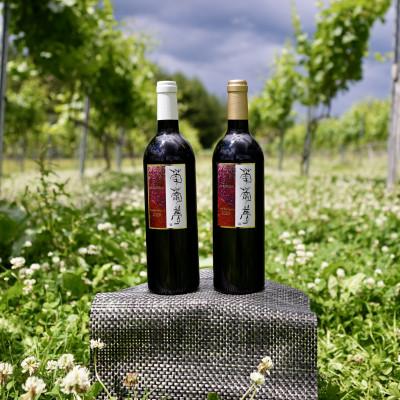 ふるさと納税 喜多方市 WINERY JUN【福島の恵み　ワイン葡萄夢飲み比べセット】750ml×2本