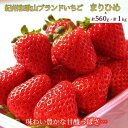 【ふるさと納税】紀州和歌山ブランドいちご「まりひめ」　約250g×4P