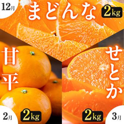 ふるさと納税 八幡浜市 【発送月固定定期便】「こたつの上の冬物語」高級3品種　まどんな+甘平+せとか【H49-73】全3回