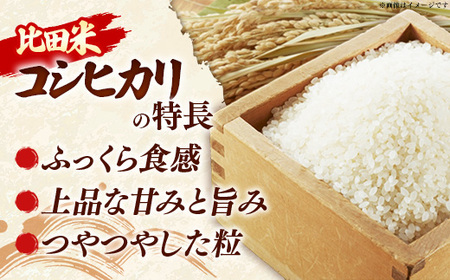 比田米 特別栽培コシヒカリ(精米)5kg【令和7年産 米 お米 こしひかり ごはん ご飯 有機肥料 国産】