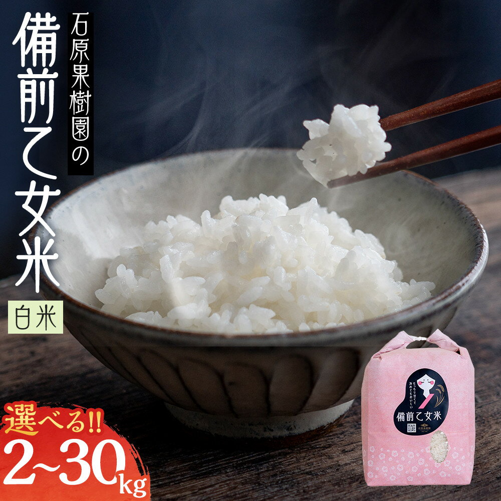【ふるさと納税】＼先行予約 2025年11月下旬より発送予定／ 令和7年産 岡山県産 米 備前乙女米 ≪選べる容量≫ 2kg ～ 30kg | 米 お米 こめ 白米 精米 ライス 乳酸菌栽培 お取り寄せ ご飯 ごはん 小分け 2kg 4kg 5kg 10kg 20kg 30kg 岡山市 ふるさと納税