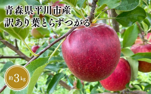 
                  ≪2026年8月下旬頃より発送≫青森県産 訳あり つがる 約3kg【青森県 平川市 なるみ農園】家庭用 訳アリ 青森 青森県産 平川 りんご リンゴ 林檎 くだもの 果物 フルーツ 
                