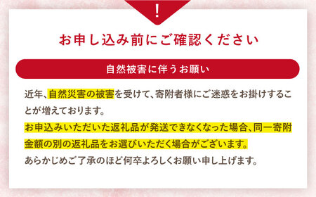 【風味豊かな香り】西海市産いちご「かおりの」2kg（250g×8パック）＜武藤農園＞[CFV002]