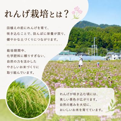ふるさと納税 大木町 【先行予約】令和8年産 れんげ農法栽培米 元気つくし 精米10kg　BI23 |  | 01