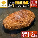 【ふるさと納税】北海道産 黒毛和牛入り牛肉100％生ハンバーグ｜北海道　国産　加工食品　おかず　肉　牛肉　黒毛和牛　和牛　ハンバーグ　冷凍ハンバーグ　冷凍　小分け　パック　お取り寄せグルメ　贅沢　おすすめ　送料無料　滝川市