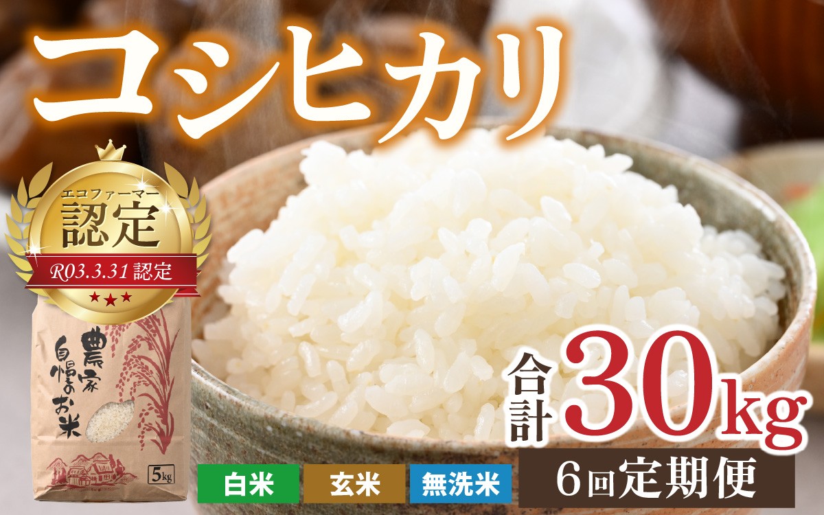 
                  【令和7年産】【6ヶ月定期便】越前大野産 エコファーマー認定農家栽培こしひかり 5kg × 6回 計30kg
                