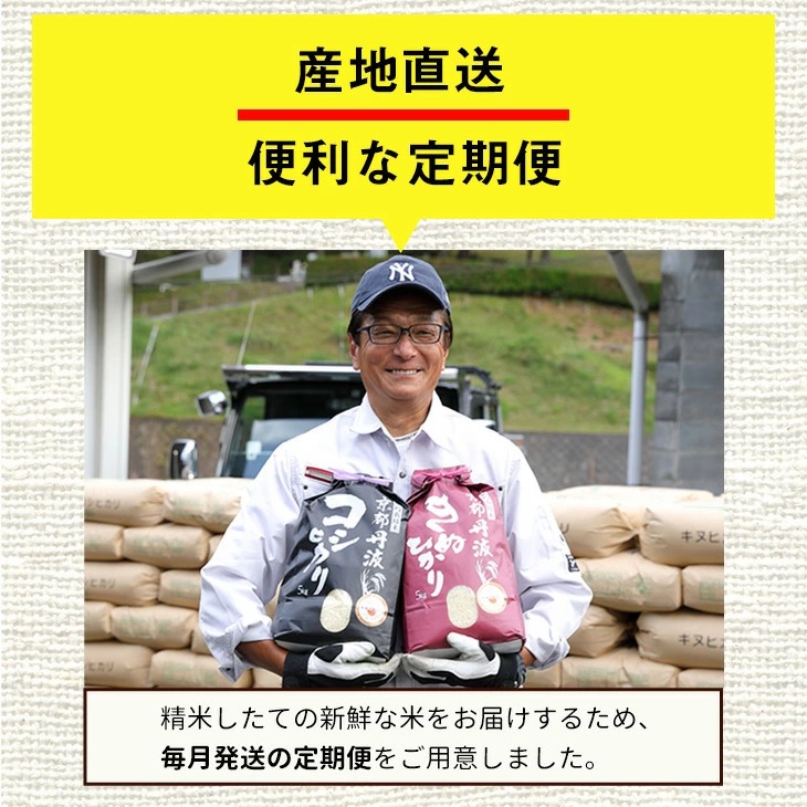 【9月より新米】【定期便】米 京都丹波米 10kg(こしひかり5kg・きぬひかり5kg)×6回 計60kg◇◆◇ 6ヶ月 白米 6回定期便 コシヒカリ・キヌヒカリ 各5kg 米 精米したてをお届け