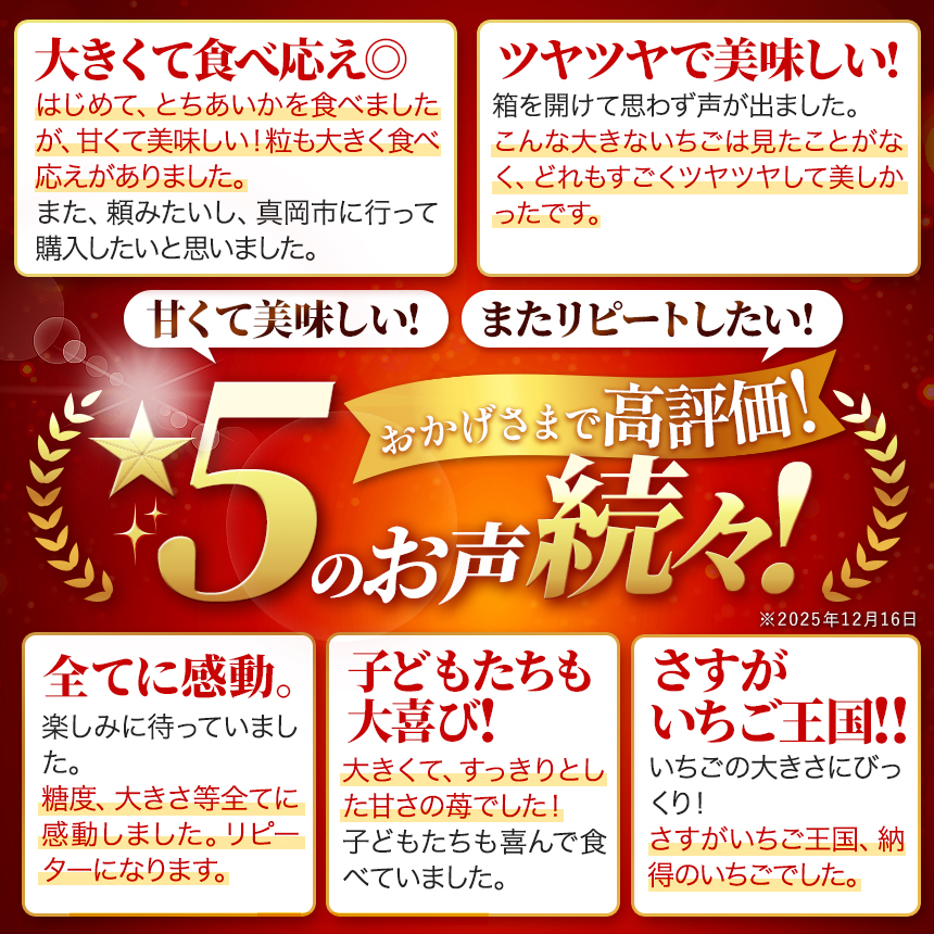 【先行予約】【3月発送】小粒 とちあいか 約1120g （280g×4パック） | 1月 2月 3月 4月 | 果物 フルーツ 苺 イチゴ 2027年分 栃木県 真岡市 送料無料 【3月発送】小粒いち