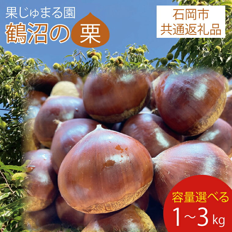 【ふるさと納税】栗 くり 石岡市産鶴沼の生栗 3kg 秋 旬 茨城県産 期間限定 数量限定 くだもの 果物 無農薬 ほくほく 【石岡市共通返礼品】（46-03）