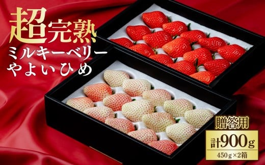 【先行受付：3月以降発送】いちご 鈴木ファーム ギフト やよいひめ×ミルキーベリー 900g (450g×2箱) | いちご イチゴ 苺 やよいひめ ミルキーベリー 完熟 甘い あまい 果物 フルーツ 鈴木ファーム 栃木県 茂木町