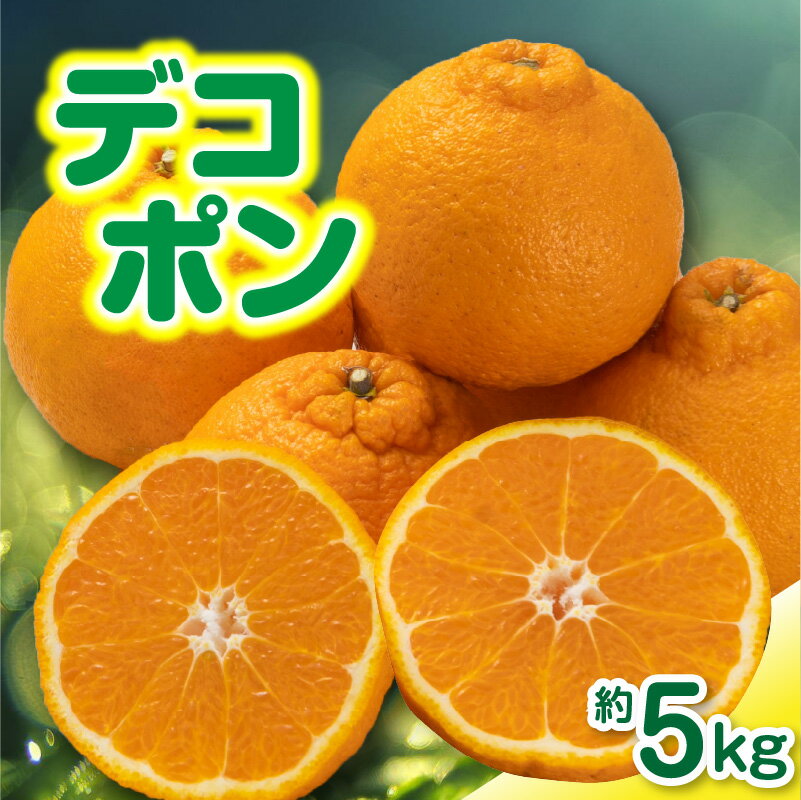 【ふるさと納税】みかん デコポン 家庭用 5kg [ フルーツ 果物 果実 濃厚 柑橘 デザート スイーツ 食品 国産 香川県 三豊市 お取り寄せ ギフト プレゼント グルメ 送料無料 北浜商店 北浜商店 ]