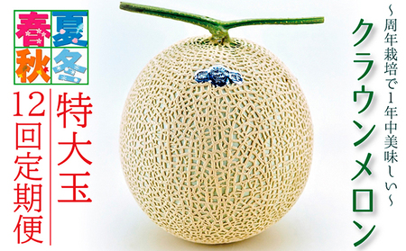 メロン 特大玉 1玉 12ヵ月連続お届け 果物類 メロン