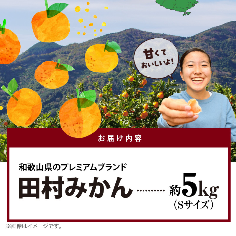 AB7309_ プレミアムブランド 田村みかん Sサイズ 秀品  約5kg _ 和歌山県産 小玉 小さい 蜜柑 ミカン フルーツ 果物 ギフト お歳暮 完熟_イメージ5