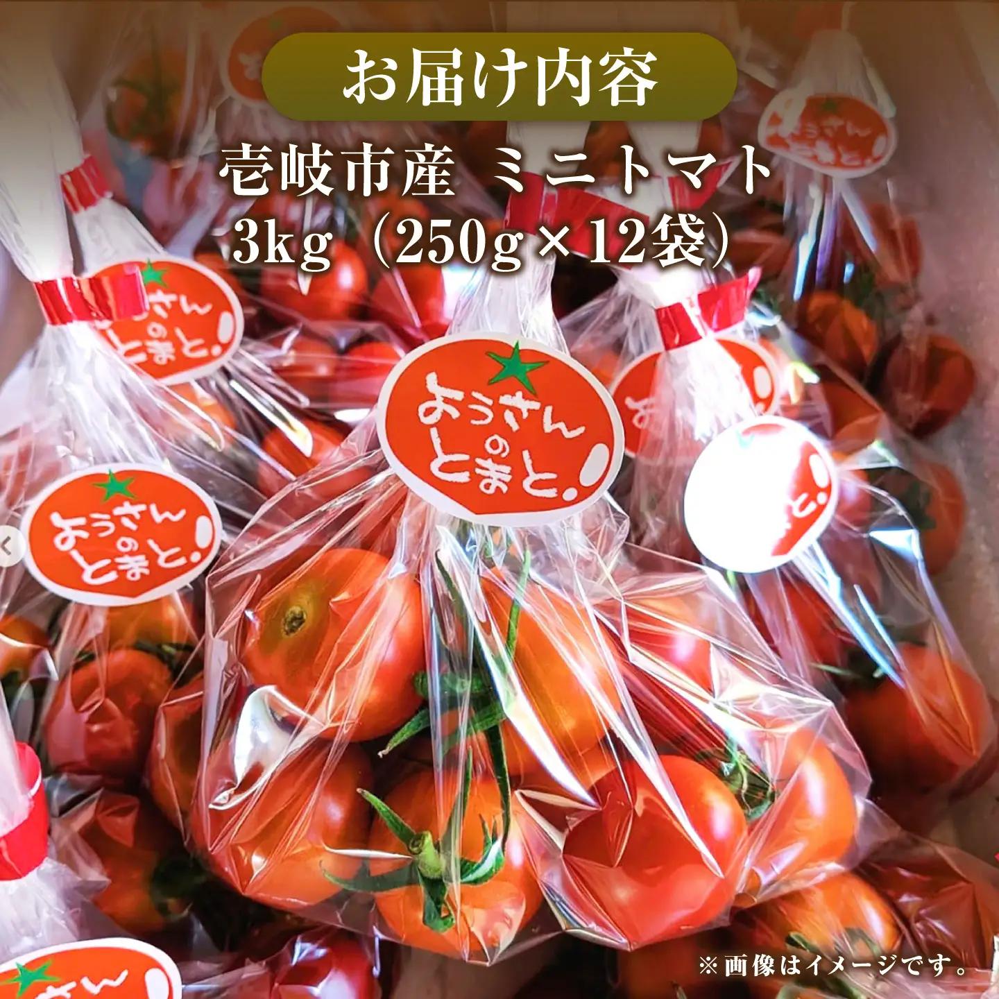 【先行予約】壱岐市産 ミニトマト 3kg（250g×12袋） 【2026年8月下旬以降順次発送】《壱岐市》【ようさんのとまと】 野菜 トマト とまと ミニトマト 国産 旬[JHC002]