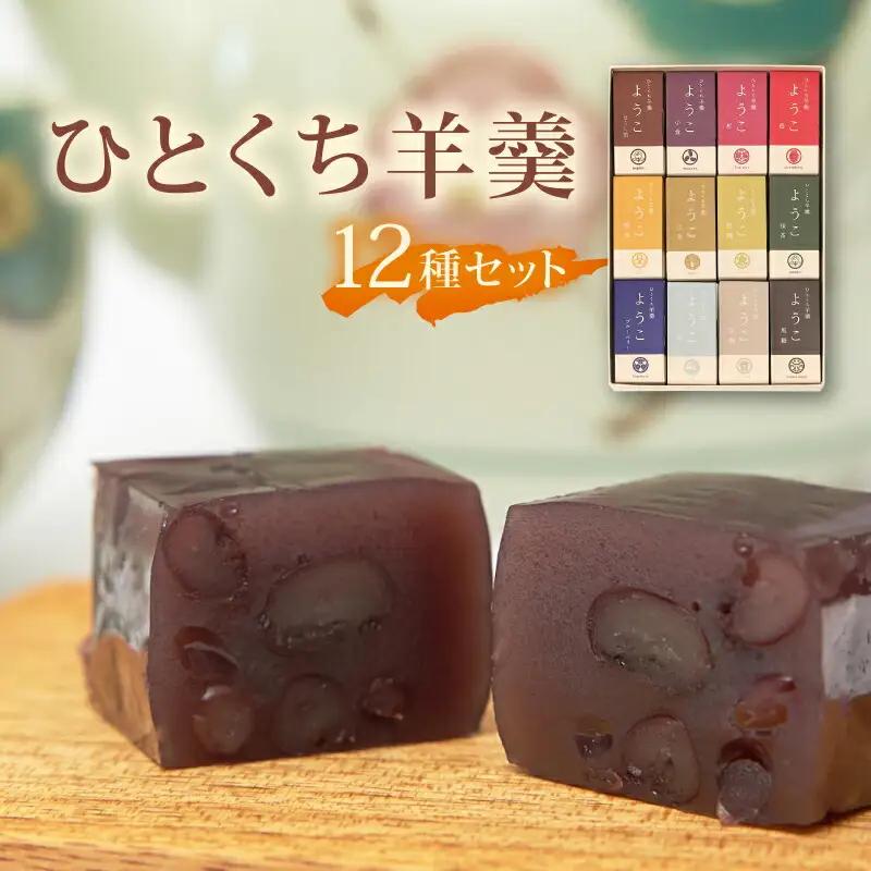 ひとくち羊羹『ようこ』12色セット