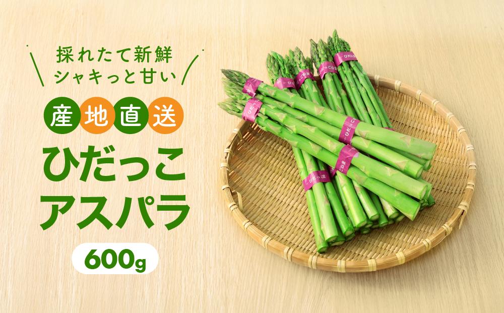 【2025年発送】ひだっこアスパラ 600g | アスパラ アスパラガス 飛騨産 野菜 春  夏野菜  産地直送 新鮮 食品 おいしい 人気 CM001VC01