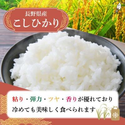 ふるさと納税 千曲市 令和7年長野県産 こしひかり 白米10キロ |  | 01