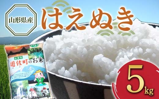山形県産 はえぬき 5kg F2Y-4591