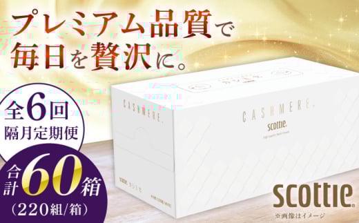 【全6回定期便(2ヵ月に1回)】 ティッシュ スコッティ カシミヤ 10箱 クレシアギフト K03 【日本製紙クレシア株式会社】開成町 ティッシュ ティッシュペーパー まとめ買い ボックスティッシュ てぃっしゅ 備蓄 日用品 プレゼント ギフト [BDAM034]