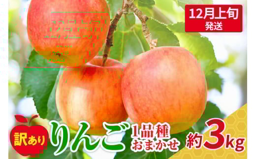 【2025年12月上旬発送】おまかせ 訳ありりんご 約 3kg （7～12個程度） 青森 |選べる配送時期|  りんご 青森 五所川原 3kg 程度