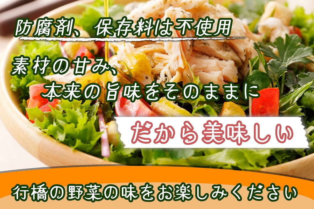 AI-008 行橋の地野菜ドレッシング３本セット