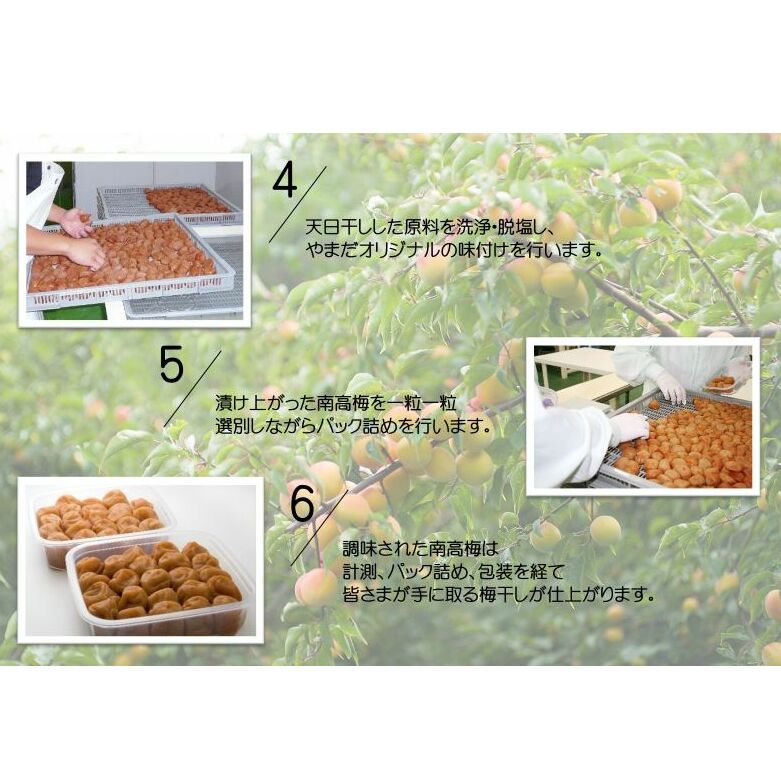 YD1009_紀州南高梅しそプレミアム塩分約6％（500ｇ）_イメージ3