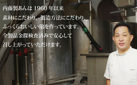 あんこ 2個セット (こし餡・焼き栗餡)  各500g 計1kg 内藤製餡 内藤のあんこ 美味しい 練りあん こし餡 焼き栗餡 大田区お土産百選 おはぎ お汁粉 あんみつ 羊羹 大福 和菓子 東京都 
