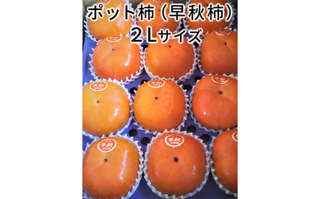 こだわり栽培ポット柿（早秋柿）2Lサイズ12個入り｜果物類 かき  ※離島への配送不可 ※2025年10月中旬～11月上旬頃に順次発送予定