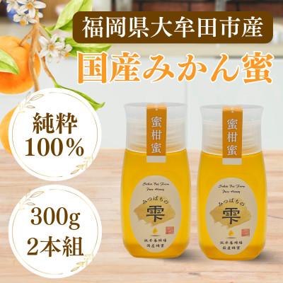 ふるさと納税 大牟田市 みつばちの雫　国産みかん蜂蜜　300g×2