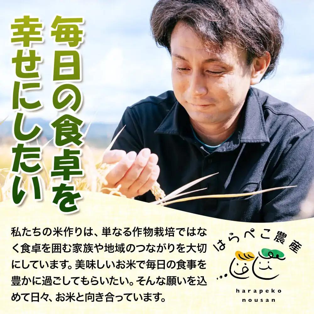 《新米受付》令和8年産【無洗米】ひとめぼれ 30kg 米 秋田