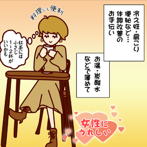 しょうが湯の素 3本 生姜 しょうが しょうが湯 しょうが湯