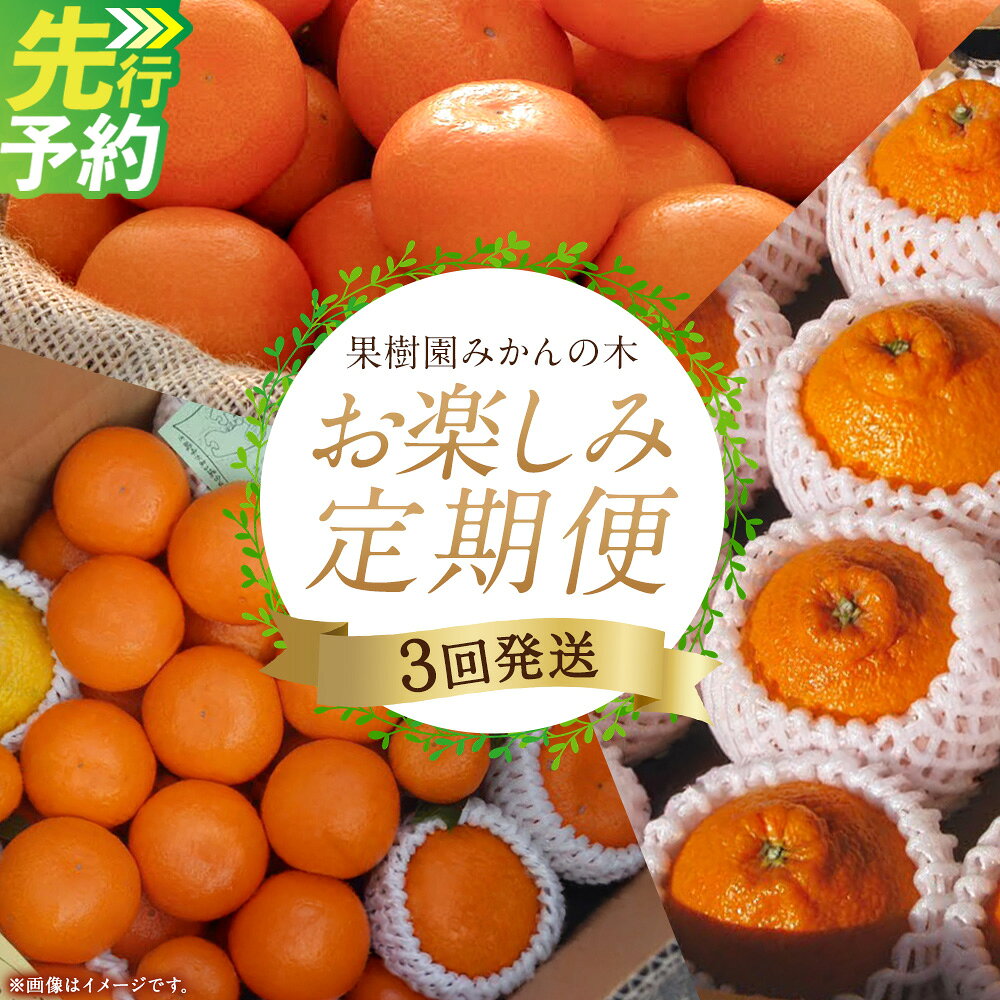 【ふるさと納税】「果樹園みかんの木」のお楽しみ3回定期便コース　みかん ミカン 蜜柑 温州みかん 完熟みかん 柑橘 不知火 しらぬひ でこぽん デコポン 贈答品 定期便 詰め合わせ 佐賀県 太良町 Q45x1 【2026年11月下旬-2027年5月上旬発送予定】