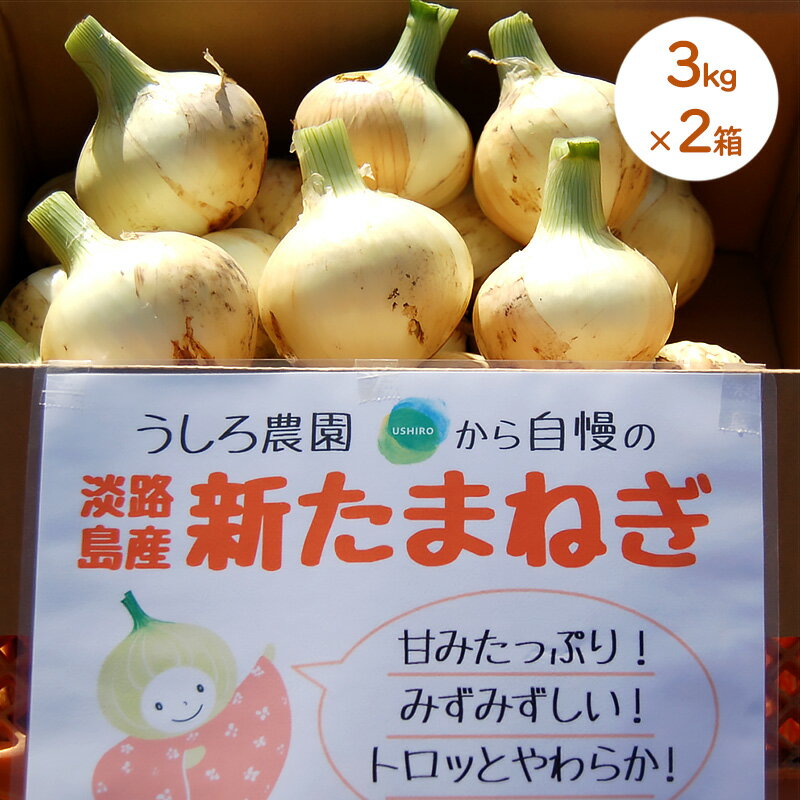 【ふるさと納税】淡路島産 新玉ねぎ 3kg × 2箱 うしろ農園 極早生 玉ねぎ 玉葱 タマネギ 甘い 野菜 兵庫県 洲本市 淡路島　お届け：12月1日～4月15日