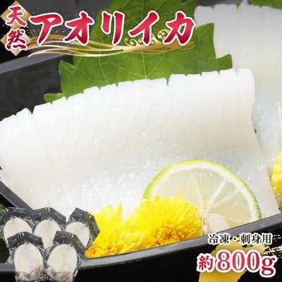 ふるさと納税 美浜町 新鮮で便利!旬のアオリイカ　刺身用開き5枚　約800g(冷凍)