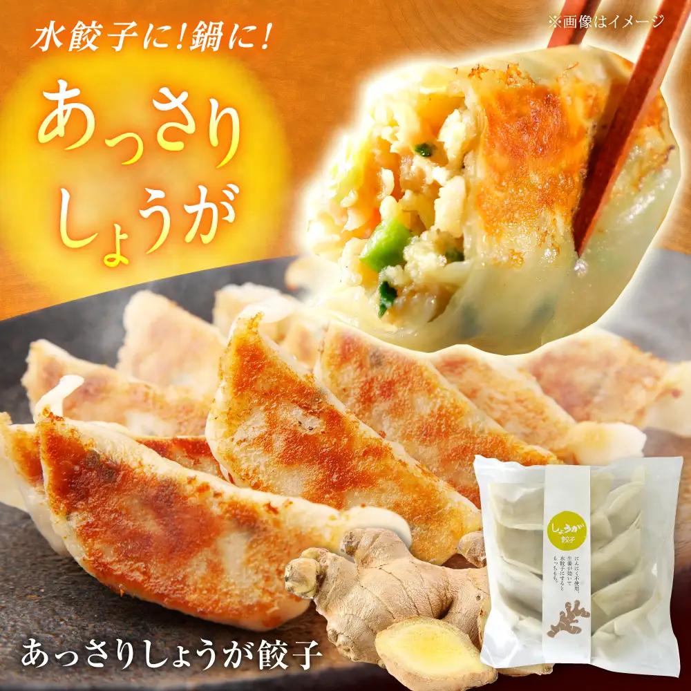 餃子屋ヒロの3種食べ比べセット 餃子 ぎょうざ 【ふるなびWEEK対象】[BDAS002] 
