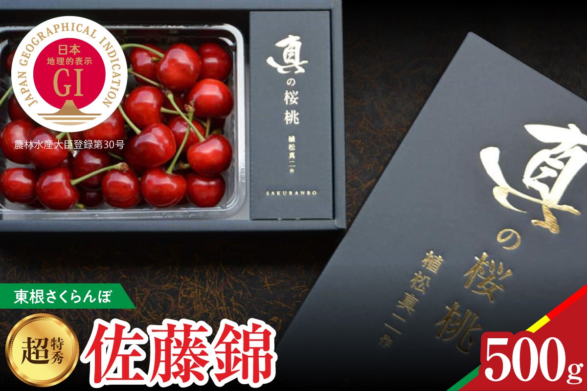 【2027年産 先行予約】 GI東根さくらんぼ 真の桜桃 佐藤錦 超特秀 500g 山形県 東根市 hi062-048-r9 ふるさと納税 フルーツ 果物 くだもの さくらんぼ サクランボ 佐藤錦 期間限定 取り寄せ グルメ 特産 産地直送