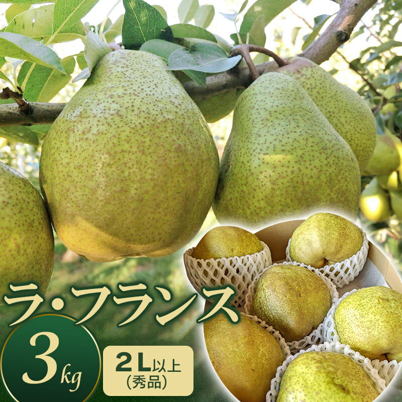 【ふるさと納税】【令和7年産 先行予約】ラ・フランス 3kg　2L以上（秀品）　庄内産直センター 洋梨