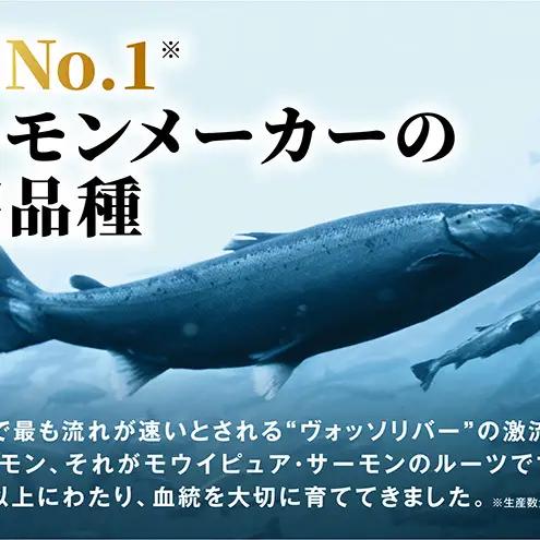 サーモン モウイピュア 1枚 900g以上 サーモン