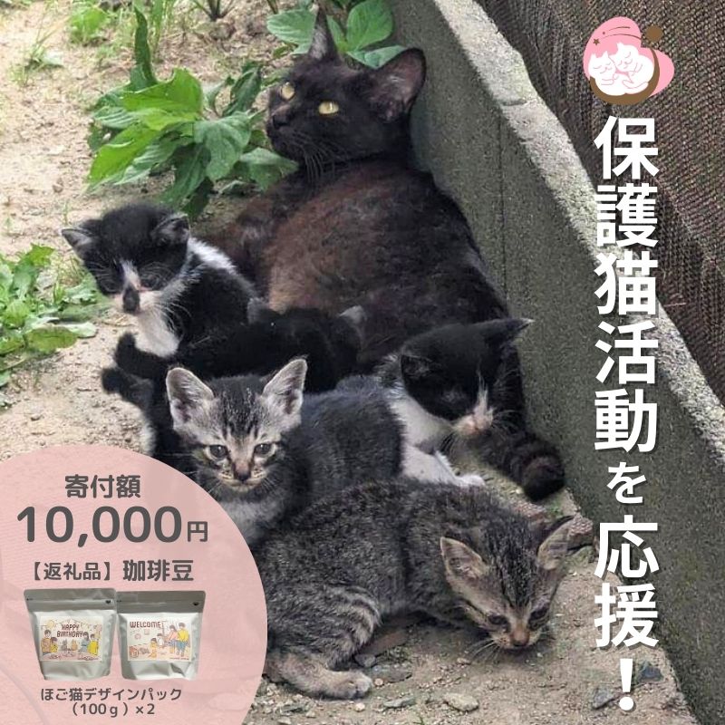 【ふるさと納税】コーヒー豆 200g (100g×2袋) セット 詰め合わせ 保護猫活動を応援！ さくらねこサポートOGORI コーヒー 珈琲 珈琲豆 ドリップコーヒー コーヒードリップ ドリップ 飲料 福岡 福岡県 小郡市