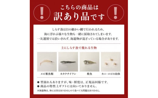 しらす 訳あり 1kg 1箱 しらす干し シラス ごはん おかず チャーハン パスタ 料理 大きめ ランキング こだわり 鮮度 天塩 マル伊商店 愛知県 南知多町