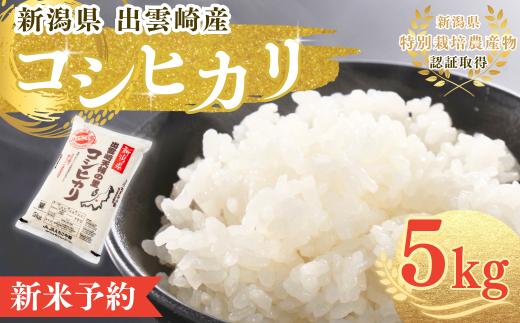 【先行予約・令和7年10月以降発送予定】 令和7年産 特別栽培米 「コシヒカリ」 5㎏ 新潟県産 出雲崎町産 「天領の里」 白米 精米 お米 こしひかり
