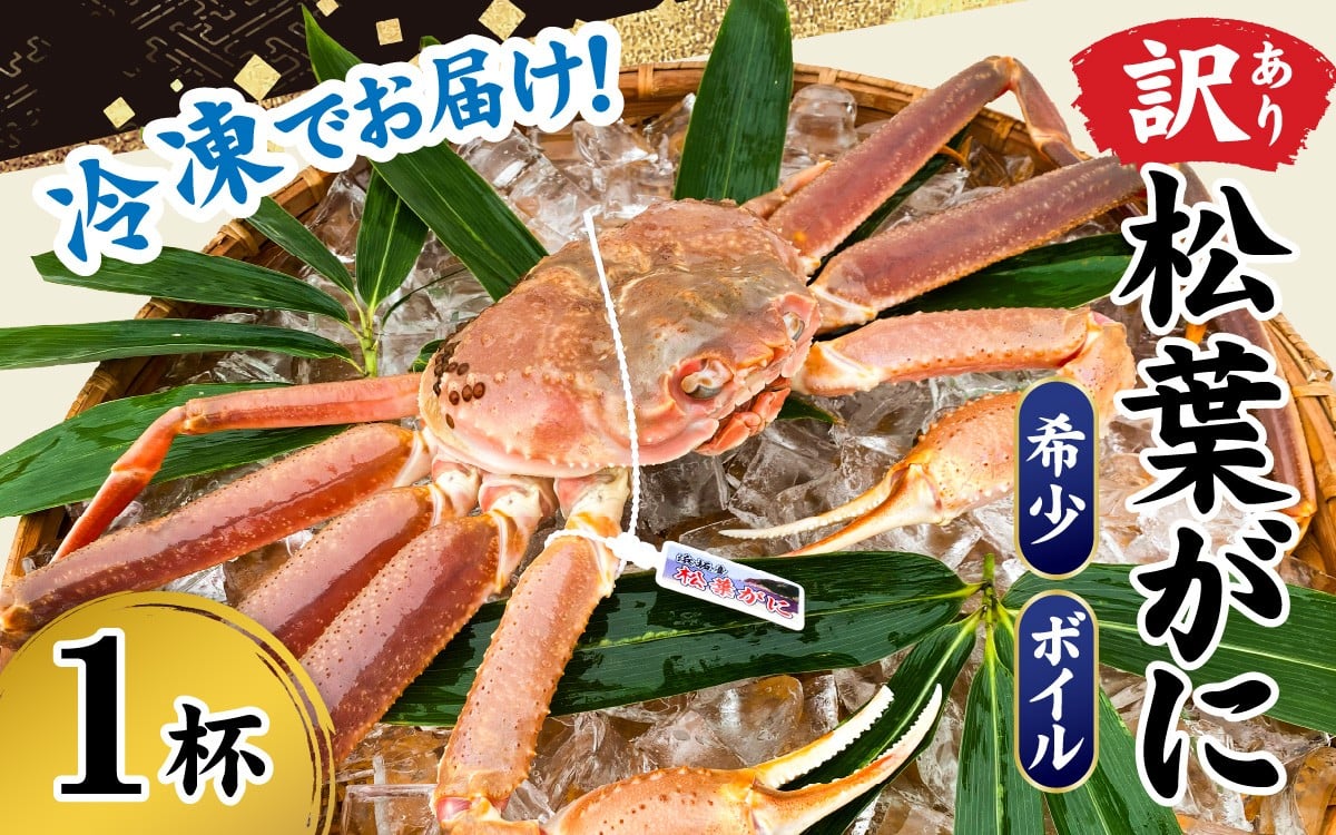 
            【訳あり】【数量限定】希少な松葉がに ボイル 冷凍 1杯 500g～600g 産地でしか手に入らない脱皮直前のレアな松葉がに ソフト蟹
          