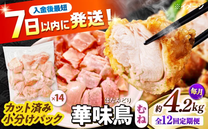 
            【12回定期便】華味鳥 むね肉 4.2kg（300g×14袋）小分け カット済み 南島原産 /　鶏肉 肉 とり肉 ムネ肉 鶏むね肉 冷凍 大容量 / 南島原市 / 株式会社渡部ブロイラー [SFS020]
          