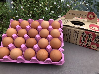2週間以内に発送 農場直送 房総もみじたまご Lサイズ20個  |早く届く すぐ すぐ発送  三枝農場  赤卵 赤玉 卵 たまご  Lサイズ 君津市産 千葉 君津 きみつ 房総