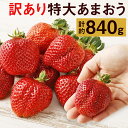 【ふるさと納税】訳あり 特大あまおう 合計約840g 420g×2箱 9玉～15玉入×2箱 いちご 果物 フルーツ 苺 あまおう 特大 ご家庭用 福岡県産 九州産 送料無料【2025年1月上旬～3月下旬に順次発送予定】