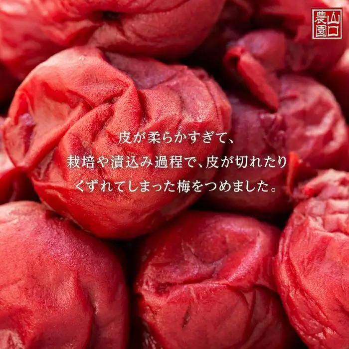 完熟南高梅使用　くずれ梅　しそ熊野梅干　1.5kg（500g×3）まろやか仕立て（塩分10％）【訳あり】