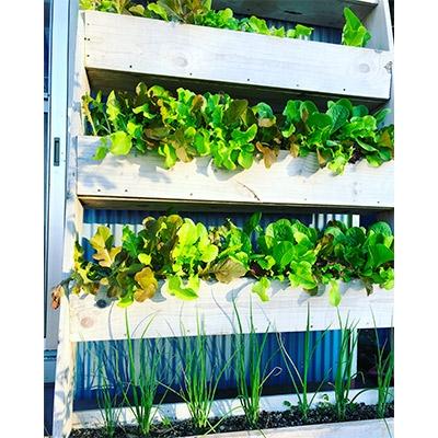 ふるさと納税 須崎市 園芸好きの方におススメの野菜が美味しくなる栄養剤アクティブアミノ500ml×1本 |  | 01