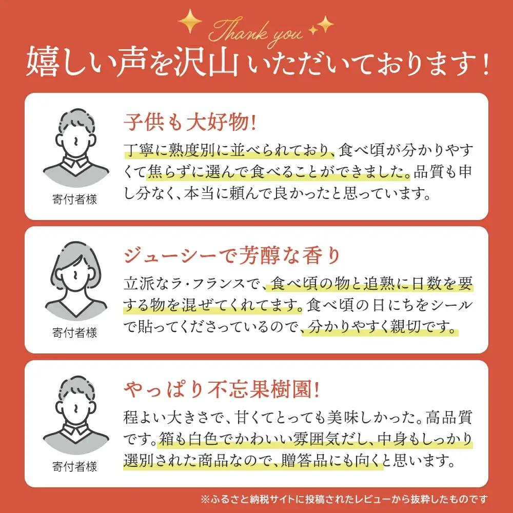 【先行予約】厳選 おいしいラ･フランス約4kg（14～18個） 蔵王産　【04301-0151】