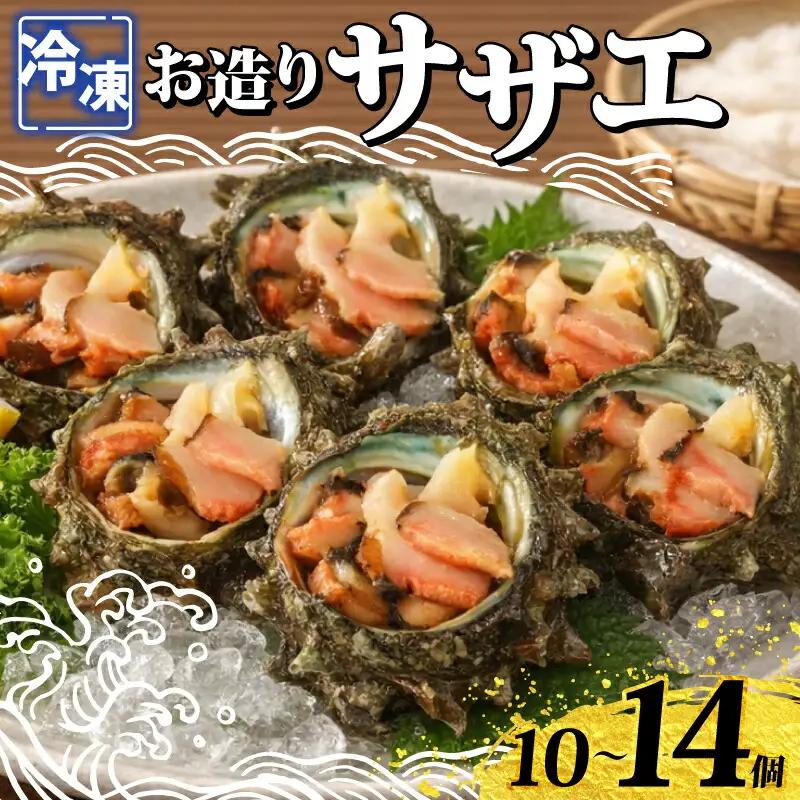 冷凍 お造り サザエ 10～14個 冷凍 下関 山口 《さわ水産：SW》 SW-SZ003